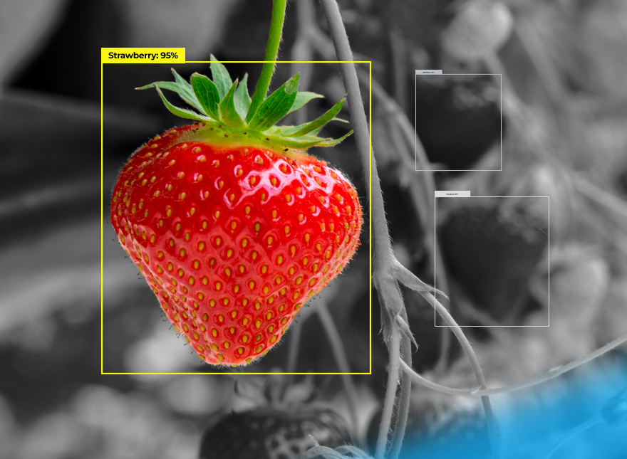 Five Computer Vision Examples In Different Industries